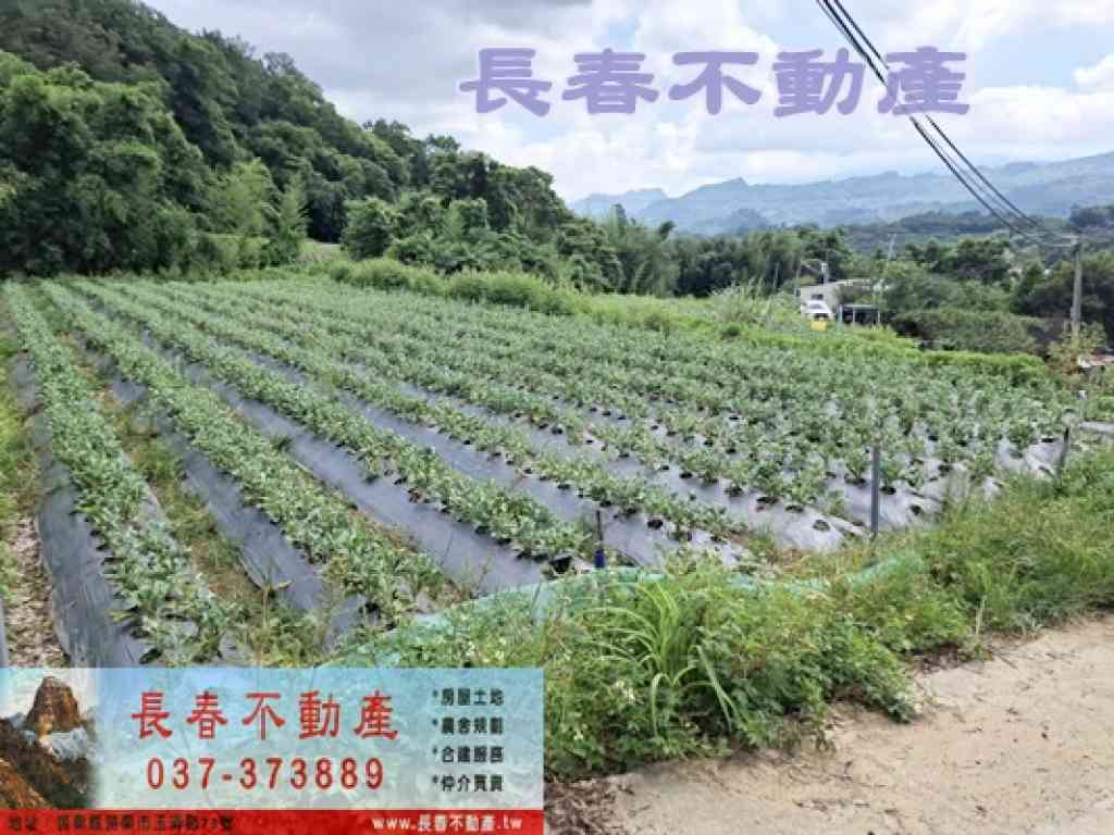 7K018南湖建+田視意圖