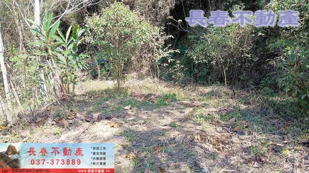 8E309新雞隆農牧用地(二)視意圖